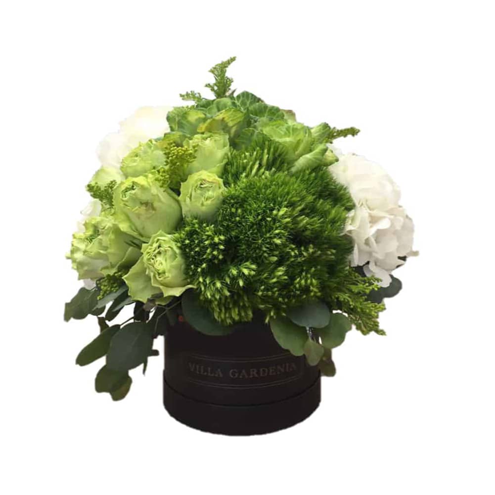 Green Wonders