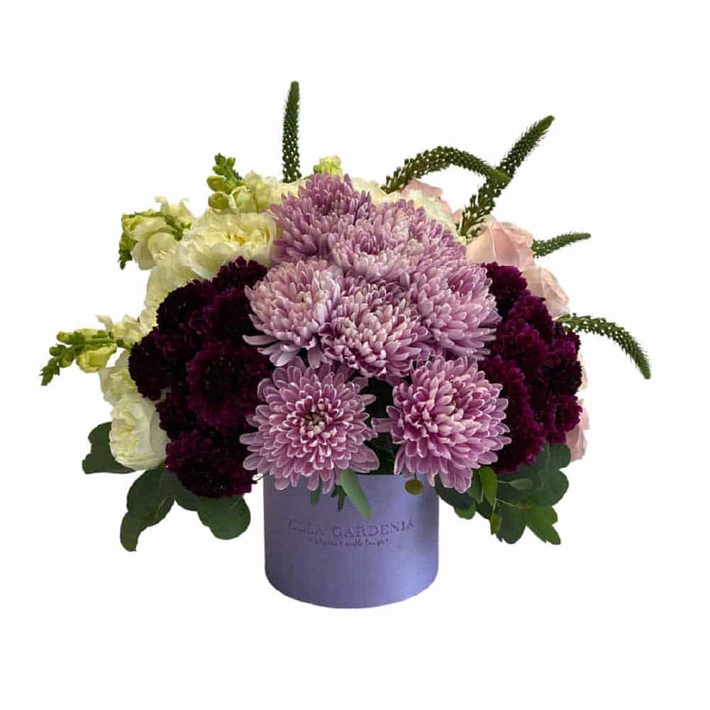 Dreamy Blooms