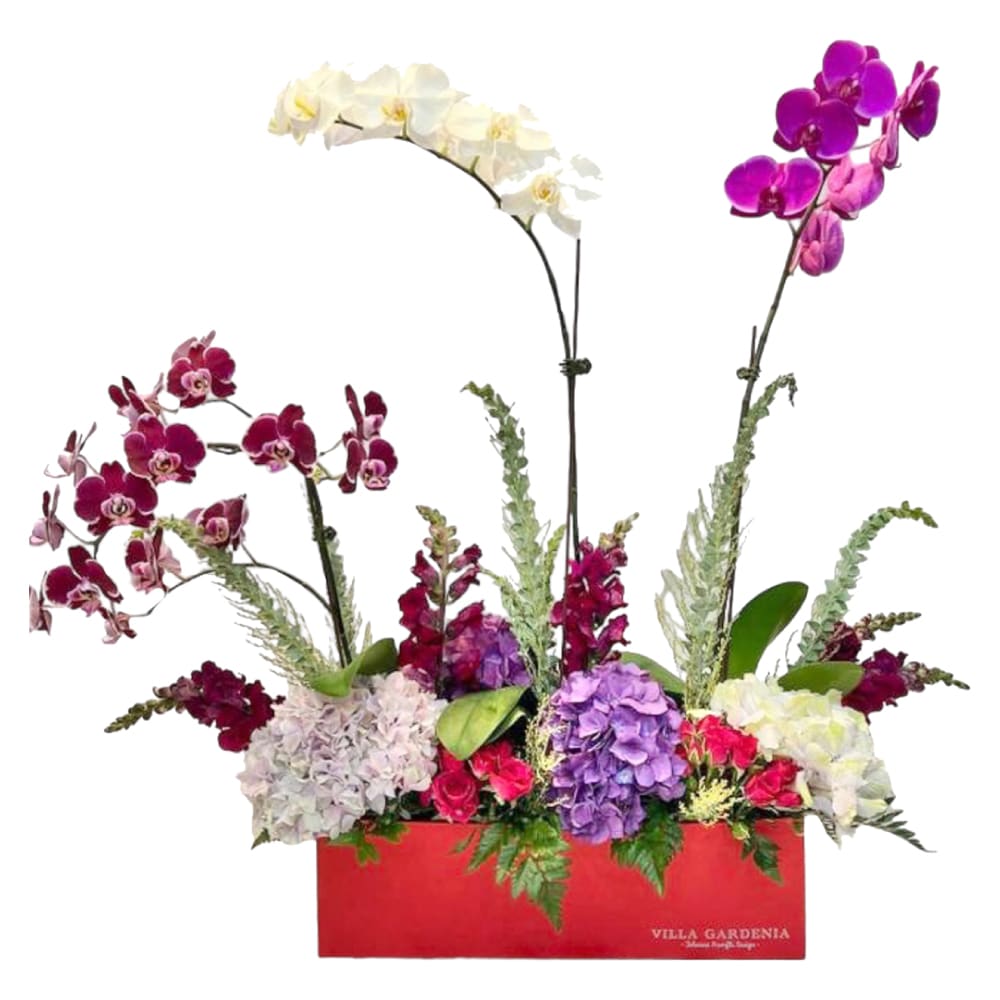 Orchids Love