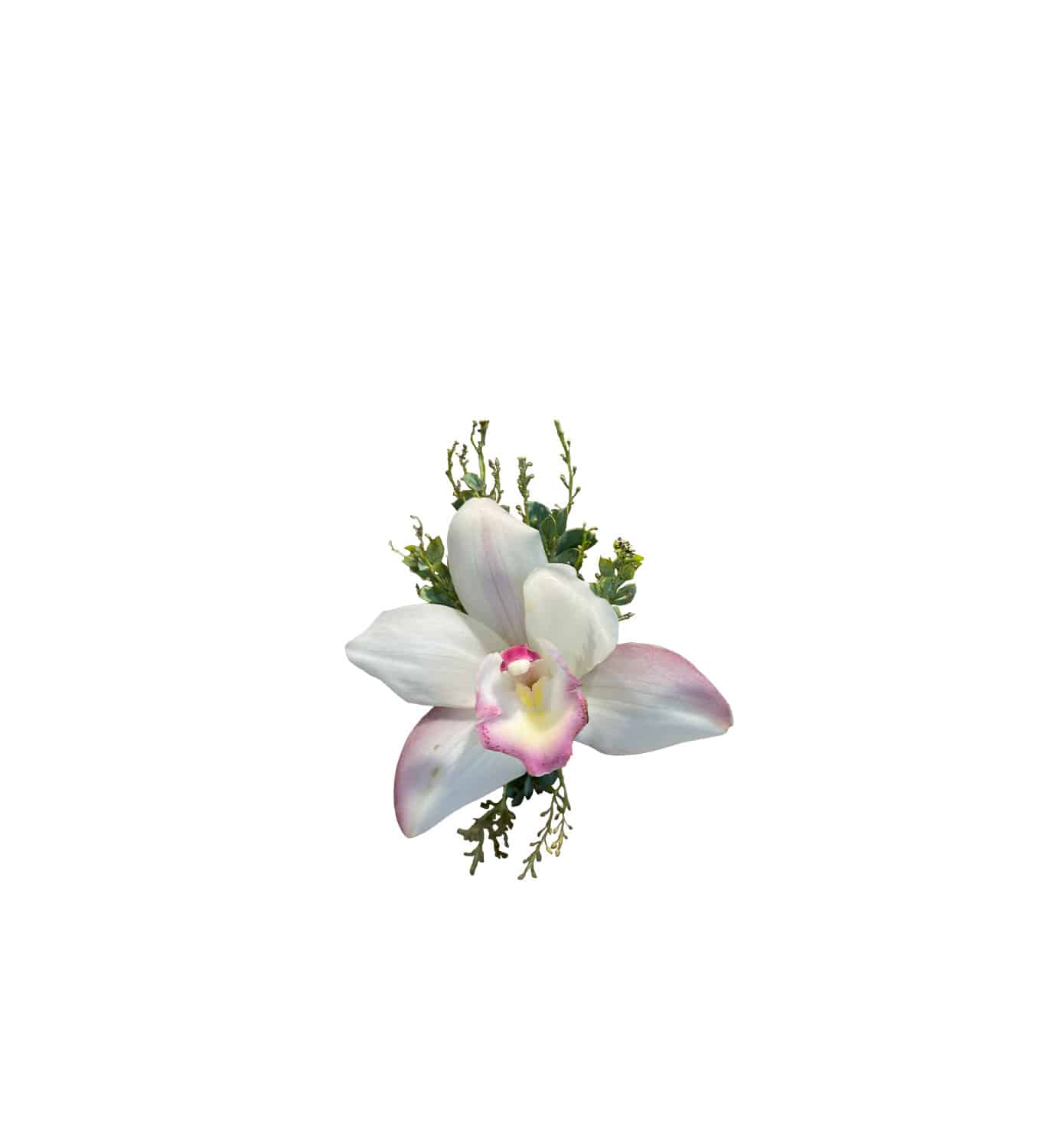 Orchid Corsage