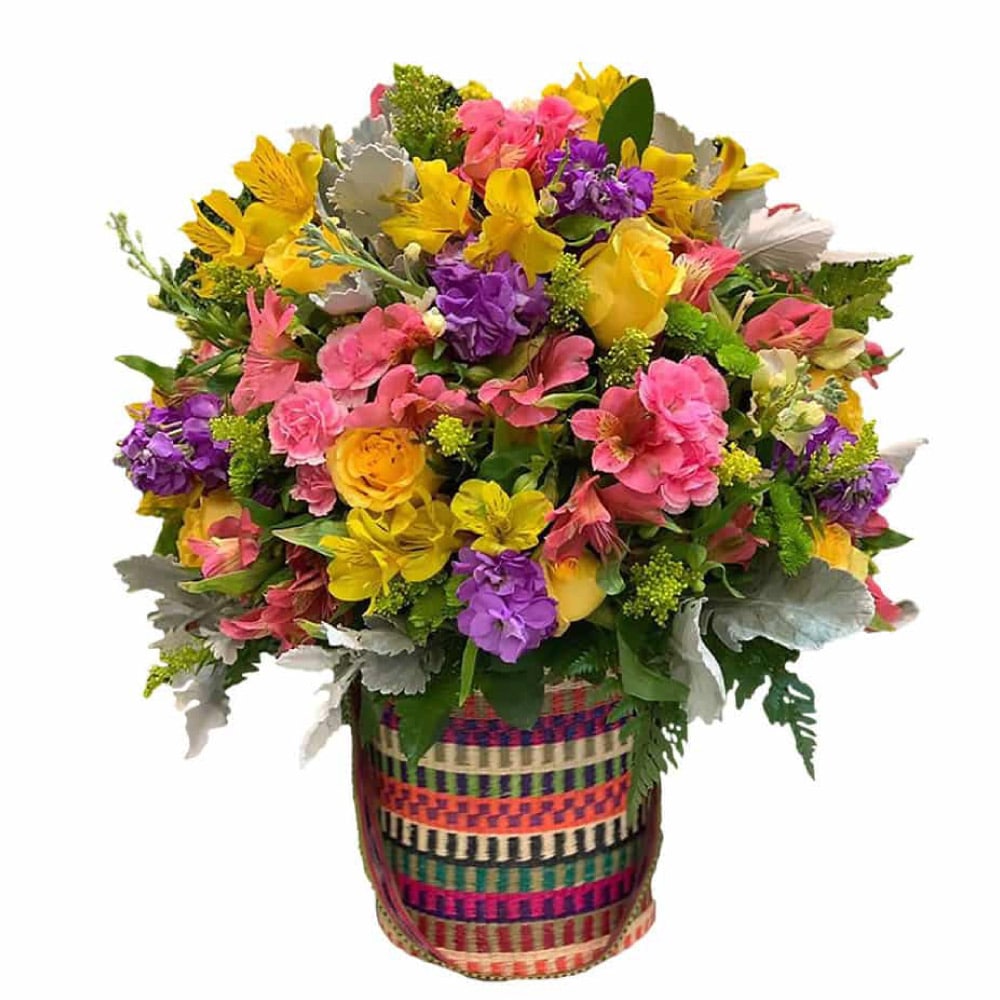Colorful Toquilla
