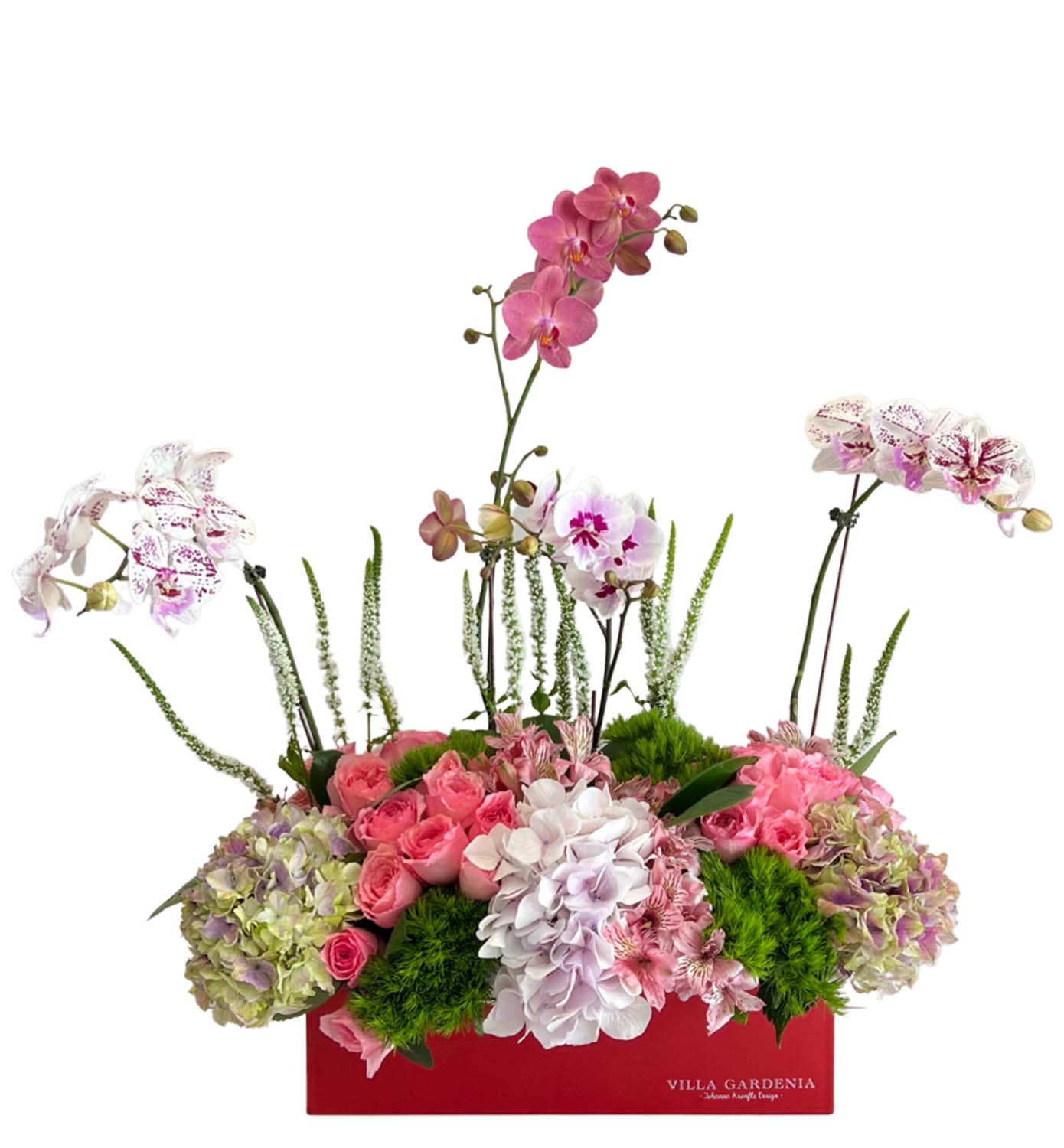 Belle Fleur