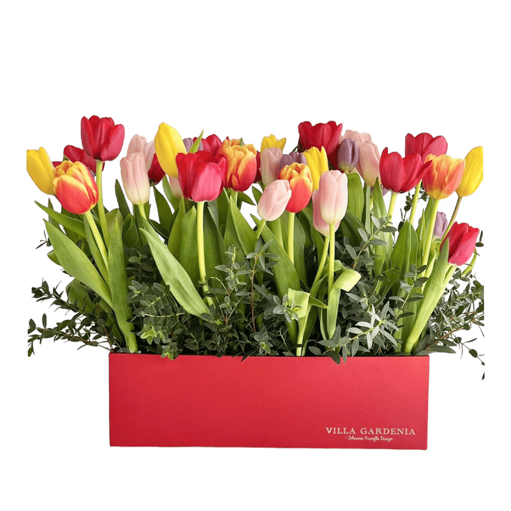 Bed of Tulips