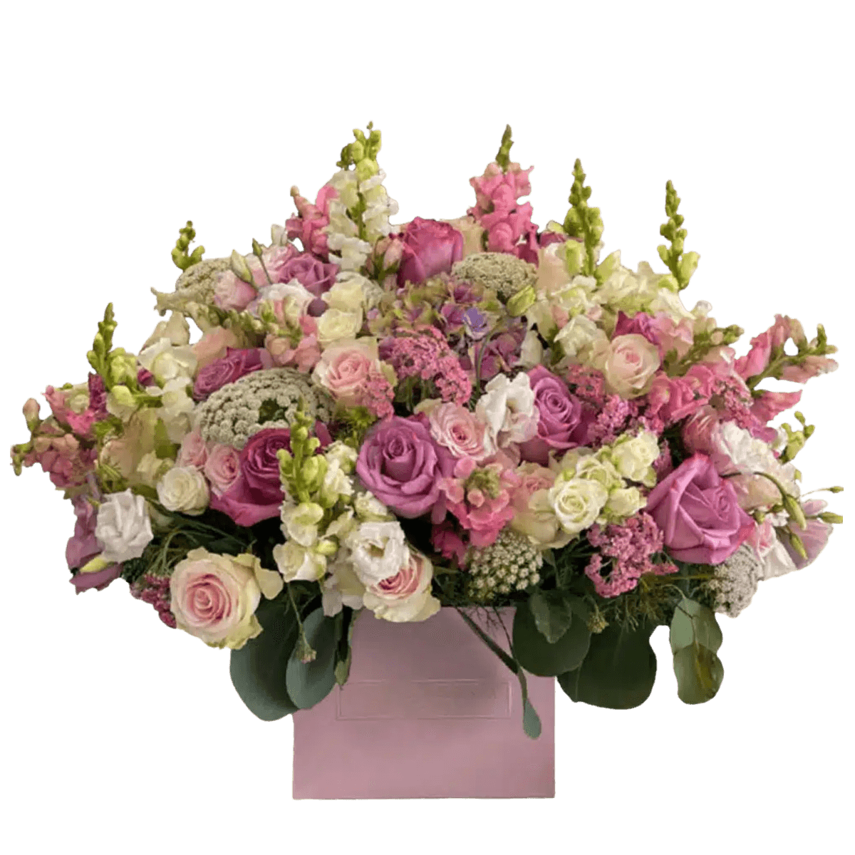 Crazy Soft & Pink