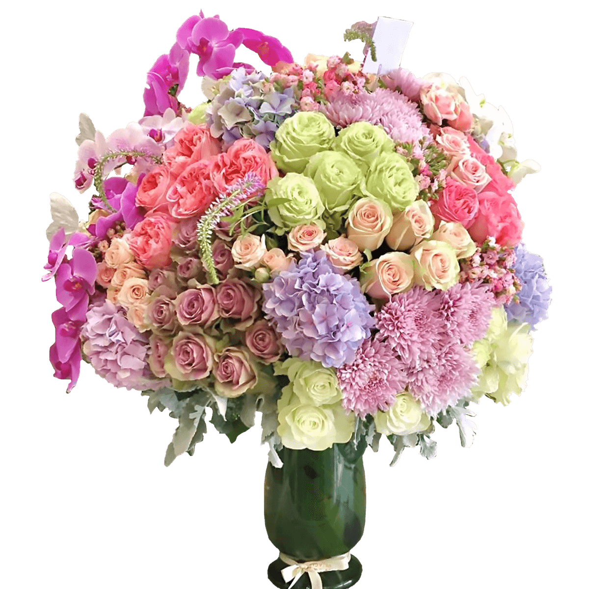 Pinky & Orchids