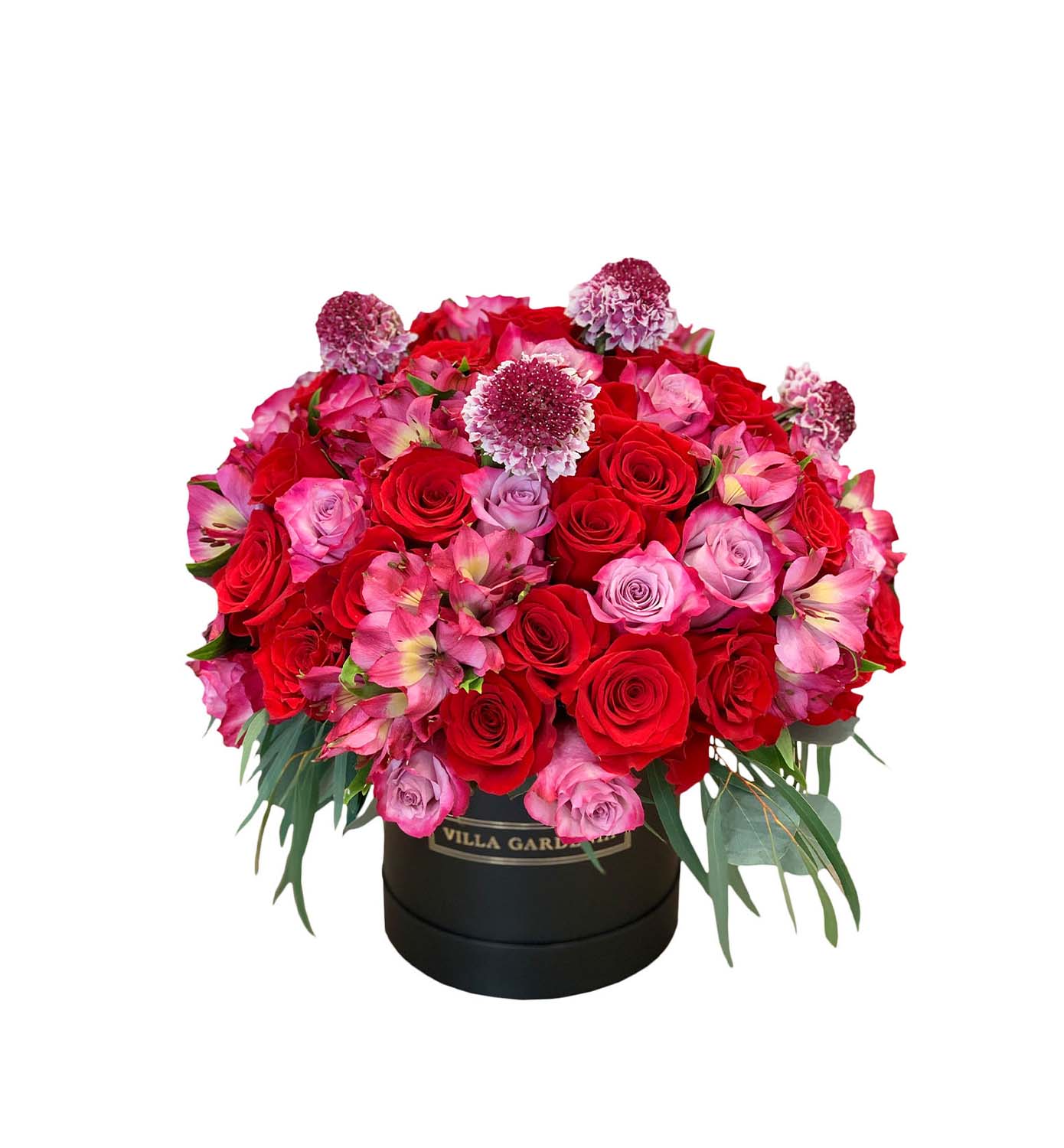 VG1331 Romantic - Imagen 1